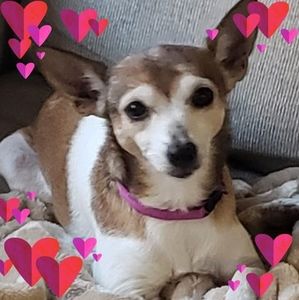 Meet your Posher, Debbie